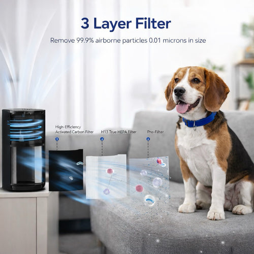 ZoomZoom Pet Air Purifier FREE SHIPPING