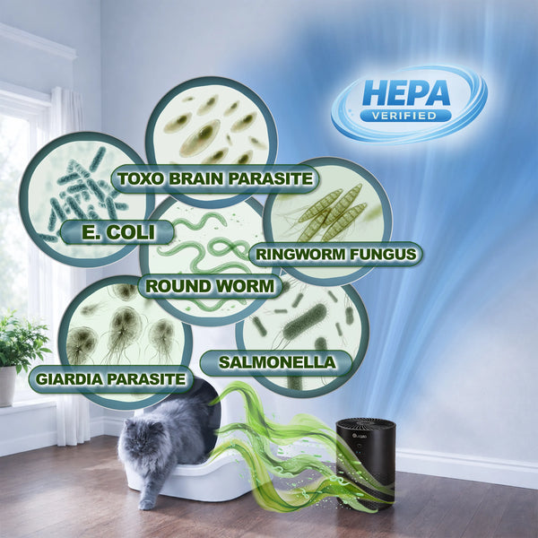 Keeping Your Air Safe