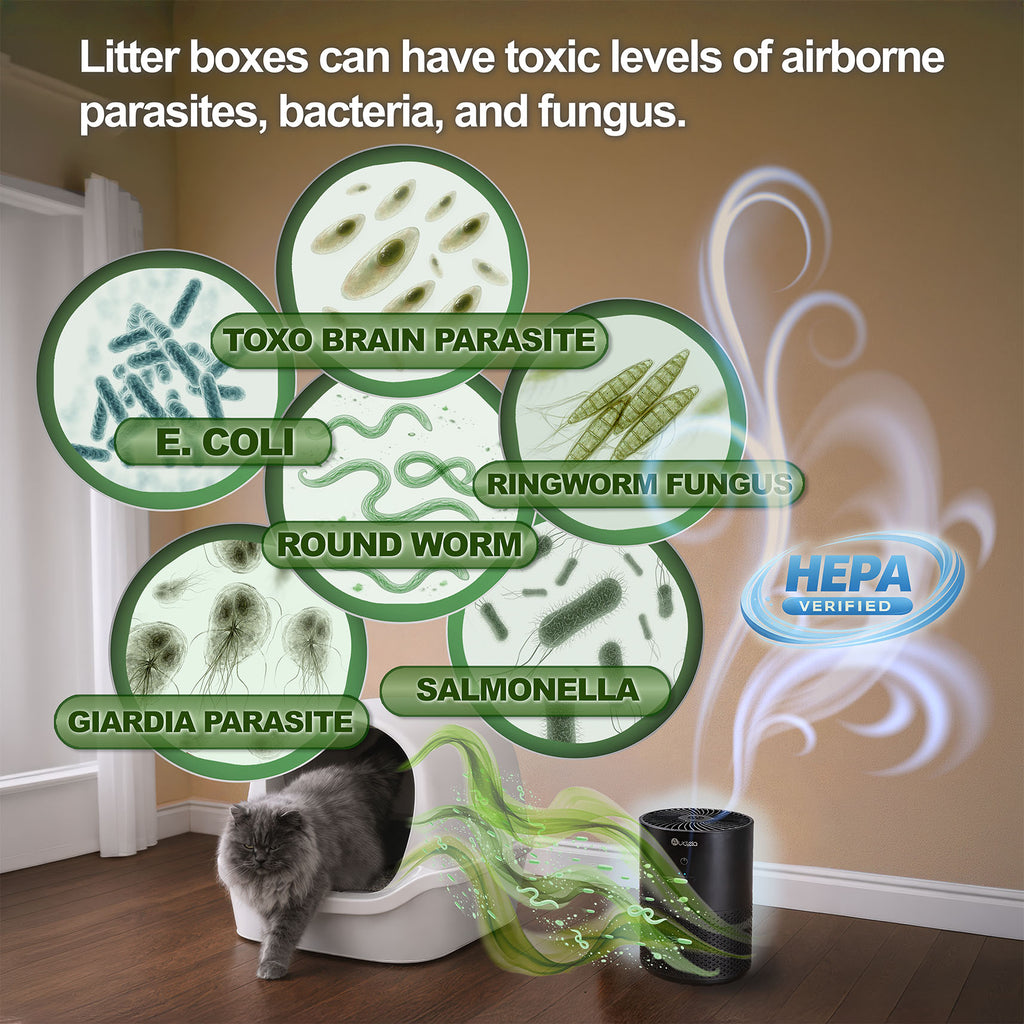 ZoomZoom Pet Air Purifier FREE SHIPPING